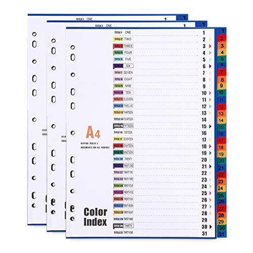31-Tab A4 Plastic Binder Dividers, Multicolor Index Tabs, Reinforced 11-Hole Fits Most 2/3/4 Ring Binder, Number Tabs…