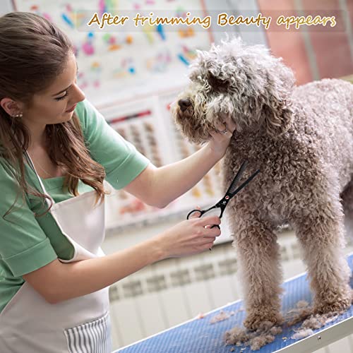 Image of Dog Grooming Scissors Kit with Safety Round Tips, GLADOG Professional 5 in 1 Grooming Scissors for Dog and cat