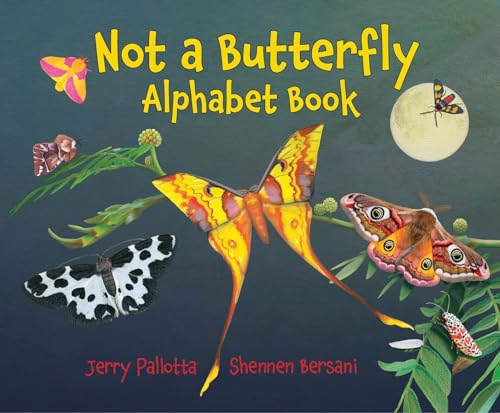 Image of Not a Butterfly Alphabet Book: It's About Time Moths Had Their Own Book!