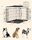Feandrea Hundekäfig, Hundebox, zusammenklappbar, transportabel, 2 Türen, 107 x 70 x 77,5 cm, schwarz PPD42BK