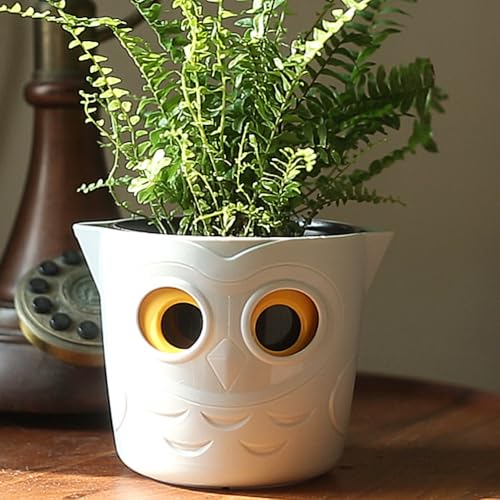 Aurexis Deko Blumentopf Eule mit Füllstandsanzeige – Pflanztopf in...