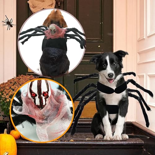 VireEyU Halloween-Spinnenkostüm Für Hunde Und Katzen, Realistisches Tierkostüm Mit Künstlichen Spinnenbeinen, Ideal Für Mittelgroße Und Kleine Hunde, Perfekt Für Halloween-Party Und Karneval（L）