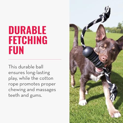 KONG Extreme Dental mit Seil - Hundespielzeug - Befüllbares Kauspielzeug aus Naturkautschuk für die Zahnpflege - Reinigt Zähne und Zahnfleisch - Für Mittelgroße Hunde