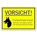Produktbild Vorsicht Hund Schild (30x20 cm Kunststoff) - Hundeschilder - Warnung vor dem Hund Schilder - Hundeschild Wetterfest - Hundewarnschilder - Achtung bissiger Hund (Neongelb) - Schäferhund