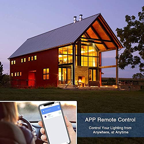 Alexa Smart Lampen E14, BrizLabs Wifi-gloeilamp, meerkleurig, wifi, RGBW, dimbaar, 16 miljoen kleuren, geen hub nodig… - Image 5