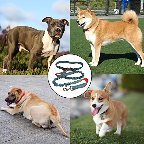 QitinDasen Grau Freihändige Hundeleine, Verstellbarer Hüftgurt und Dual Griffen Dehnbare Bungee-Leine, Jogging Hundeleine mit Reflektierenden Nähten (Orange Griff)