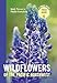Wildflowers of the Pacific Northwest (A Timber Press Field Guide)