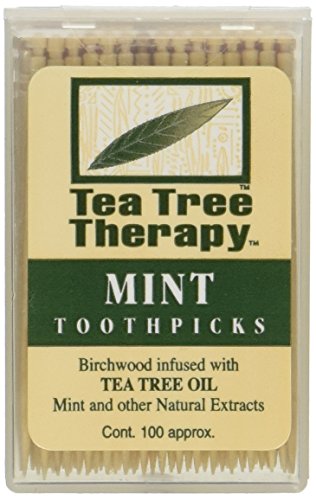 Tea Tree Therapy Tea Tree Toothpicks 100 Picks (Pack of 12) - //coolthings.us