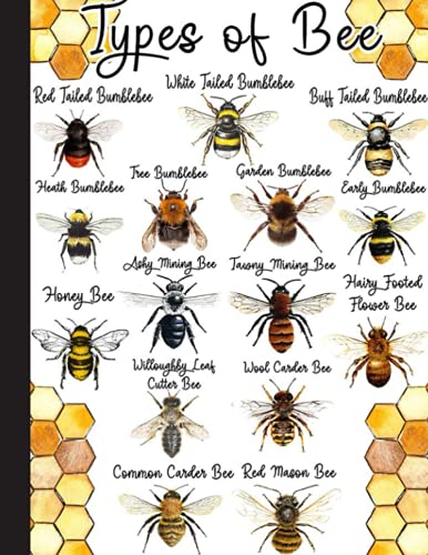 Types Of Bee Notebook: Bee Journal: Bee Gifts For Bee Lovers, Perfect Bee Gifts For Teachers, Kids, Women, Men, Girls,: Bee Themed Lined Journal Notebook 120 Pages 8.5" x 11" (Journals & Notebooks)