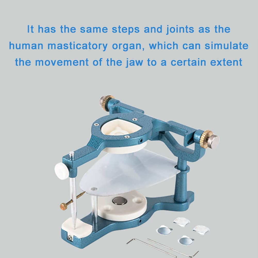 Articulador Magnético De Dentadura Ajustable Dental Articulador Montar Modelos De Dientes Prefabricados Equipo De Laboratorio Dental