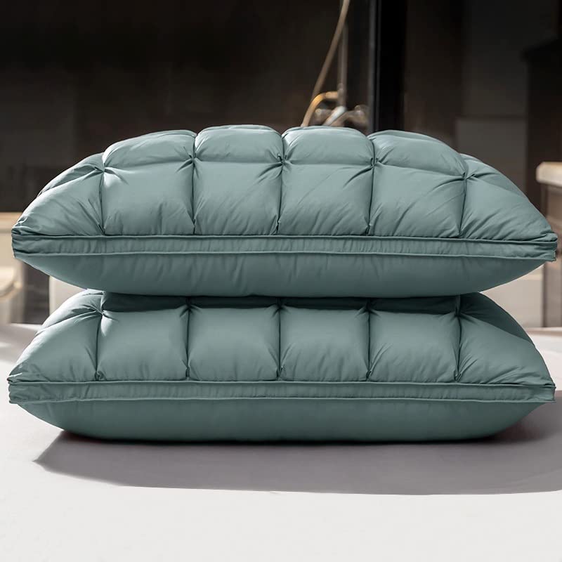 Oreillers en duvet d'oie et plumes pour nuits sereines 51x66