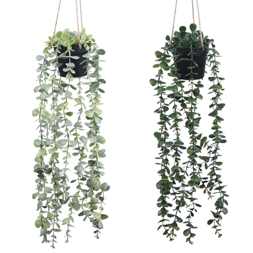 blumenkasten weide Neu !! Kleiner Pflanzkasten 25 cm breit mit je 2 Henkel aus Weide Blum – La  Casa