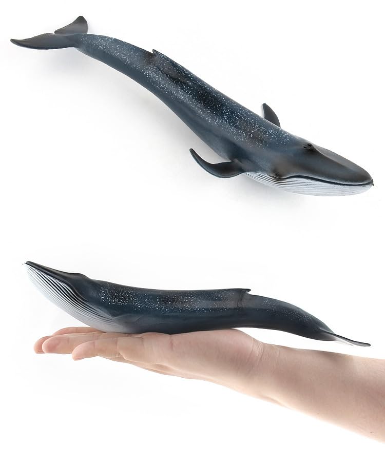 Image of SmilerSmile 10.6 inch Blue Whale Figurine Plastic Sea Creature Toy for Toddlers | Solid PVC Action Figure, Simulation Sea Animals, Educational Ocean Animal Model, Non-toxic Safe Bath Toy for Kids