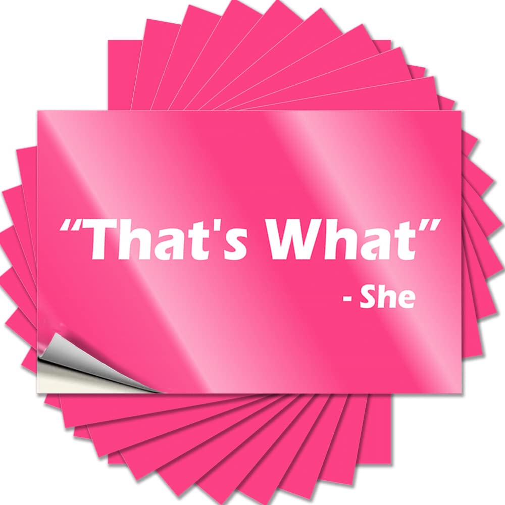 Fall Door Decorations Cover Quote - That's What She Said Cute Durable Sticker Easy Apply for Billiard Decor(12X18CM)