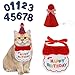 DEVENTORZ ペット用誕生日帽子 帽子 犬 誕生日 帽子 犬 猫用 誕生日グッズ 誕生日グッズ 3点セット バースデー帽子 数字付き 記念日 写真撮影飾 り付け ペット 三角帽子 唾液タオル