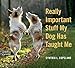 Really Important Stuff My Dog Has Taught Me