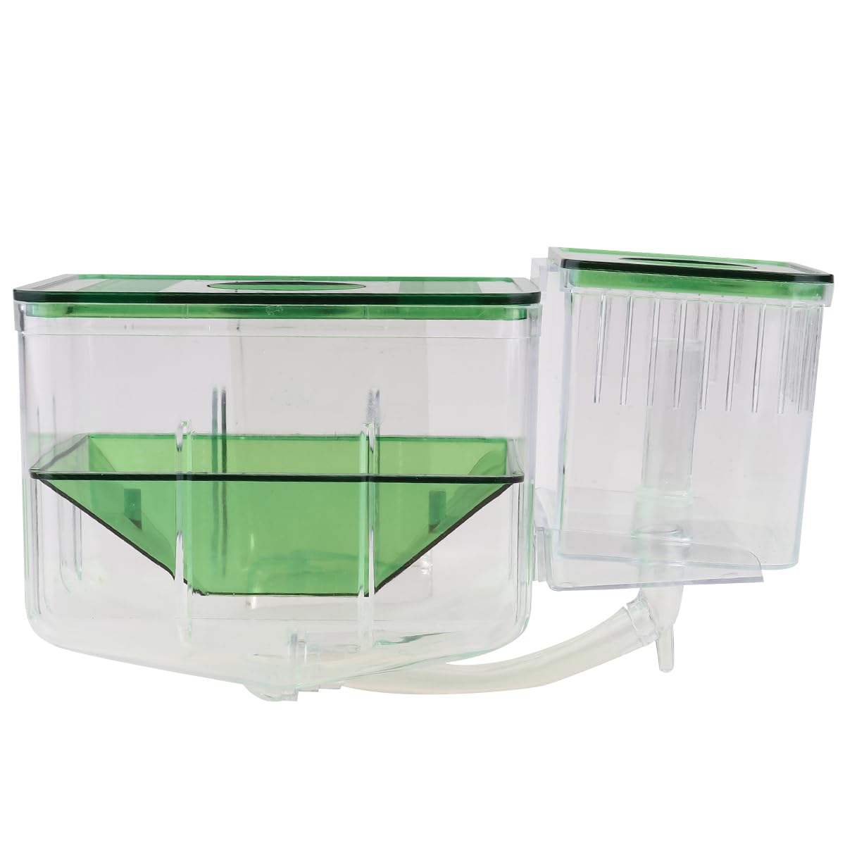 Boîte d'élevage de poissons pour aquarium double avec séparateur transparent