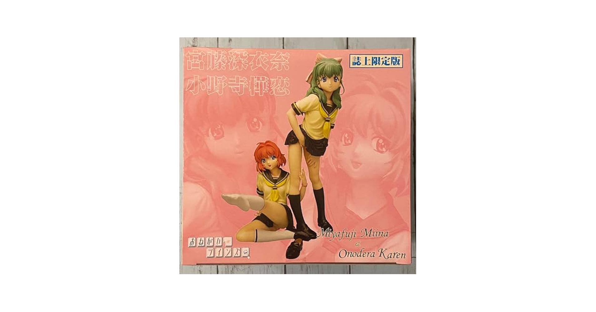 おねがいツインズ 小野寺樺恋 宮藤深衣奈 フィギュア 71q+GFi5GEL._UF350,350_QL50_.jpg