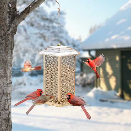 IWNTWY Bird Feeder, Heavy Duty Metal Squirrel Proof Wild Bird Feeders for Outdoor Hanging, Upgraded Large Birdfeeder for Garden Yard Backyard Decoration - Thumbnail 6