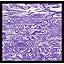 Purple Marble Cut Groove