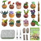 Jevuoyee 15pcs Succulent Needle Felting Kit for Beginners Adult - DIY Starter Kit with Wool Roving, Felting Mat, Needles, Instructions for Home Decoration Crafts