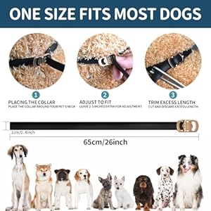 Fleacollarfordogs4packdogfleaandtickcollar32monthsfleaandticktreatmentcollarfordogwaterproofadjustabledogfleaandtickpreventionforsmallmediumlargedogpuppyblack Urban Country Home Decor Flea collar for dogs 4 pack dog flea and tick collar 32 months flea and tick treatment collar for dog waterproof adjustable dog flea and tick prevention for small medium large dog puppy black urban country home decor