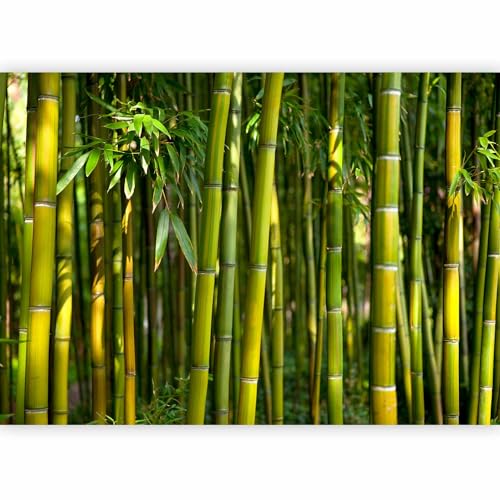 murando - Papier peint panoramique 350x256 cm - Revêtement mural chambre salon - Décoration murale design moderne - Asie bambous feng shui feuilles orienter...