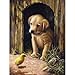 Painting by Numbers Junior Small Labrador Pup Set [Set of 3]