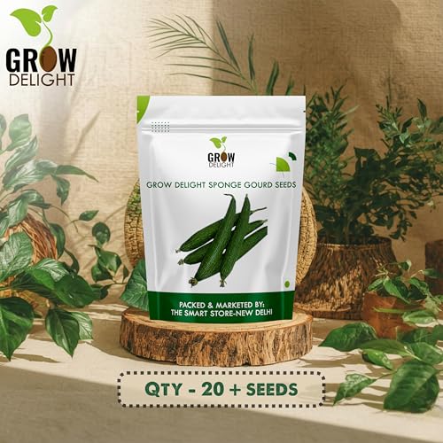 Image of Sponge Gourd (Nenua) (20 Seeds) Vegetable Seeds for Home Garden, Organic & Hybrid, Perfect for Home Gardening, Planting For Pots and Patio