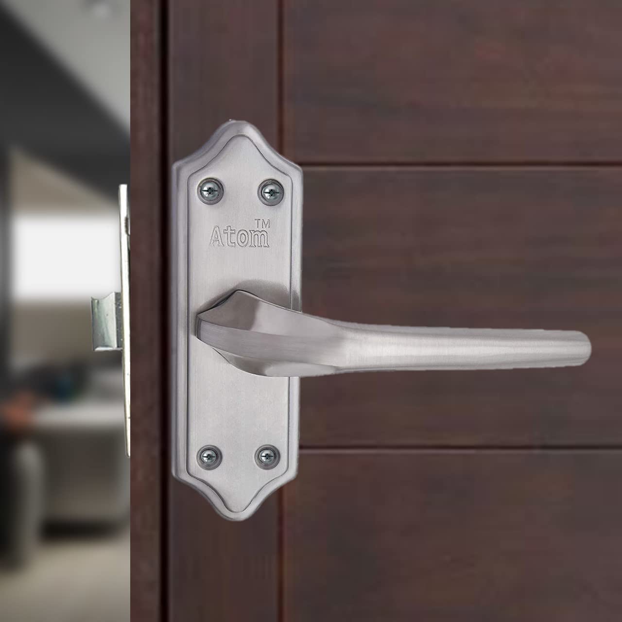 Buy Atom Stainless Steel Bathroom Door Lock | Mortise Door Handle with ...