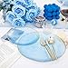 Rubtlamp 60Pcs Clear Blue Plastic Plates, Hammered Blue Plates, Clear Fancy Disposable Plates With Gold Rim Include 30 Dessert Plates, 30 Dinner Plates for Party