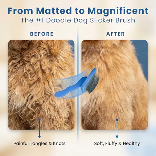 Slicker Brush for Dogs, Dog Grooming Supplies - Best Doodle & Poodle Brush for Haired Dogs - Goldendoodle Pin Detangler for Dematting (Large Curved)
