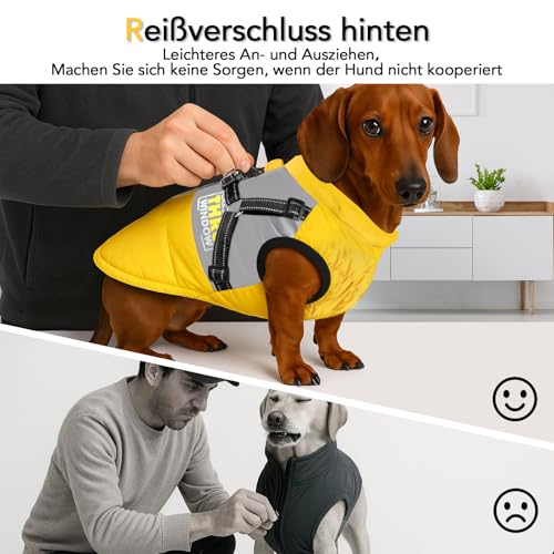 Flow fire Winter Hundemantel Wasserdicht für Mittelgroße Hunde, Hundejacke mit Bauchschutz, Hunde Wintermantel Reflektierend M(S)