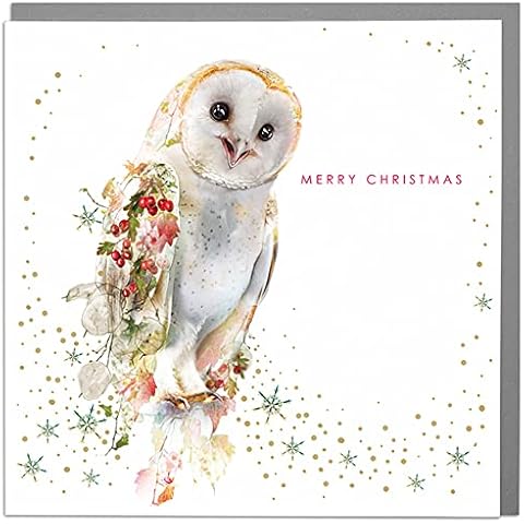Lola Design Wildlife Christmas Cards - Barn Owl Cover