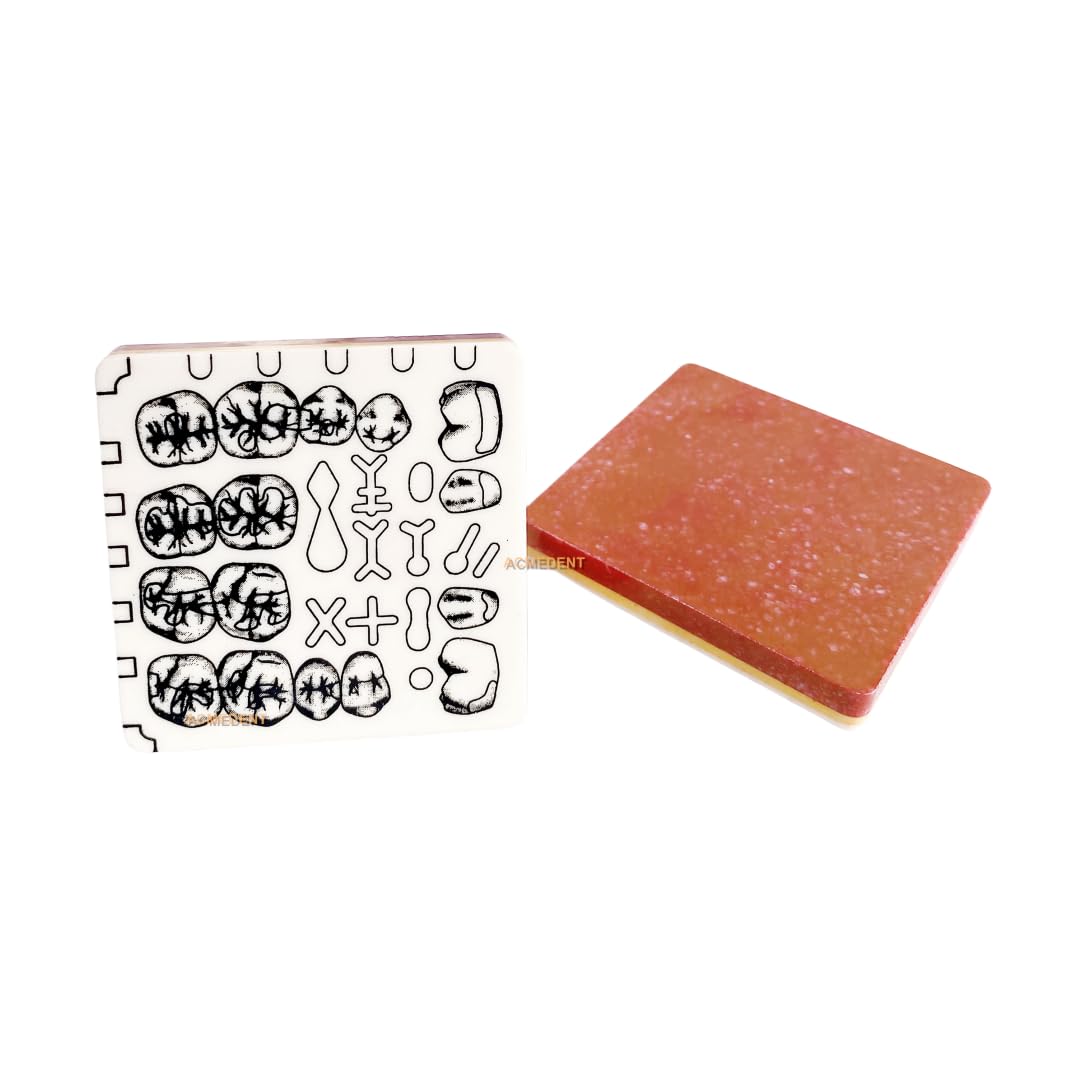 Dental Cavity Tooth Preparation Trainer Blocks Caries Remove Model Student Practise Teeth Models 3-layers 1piece