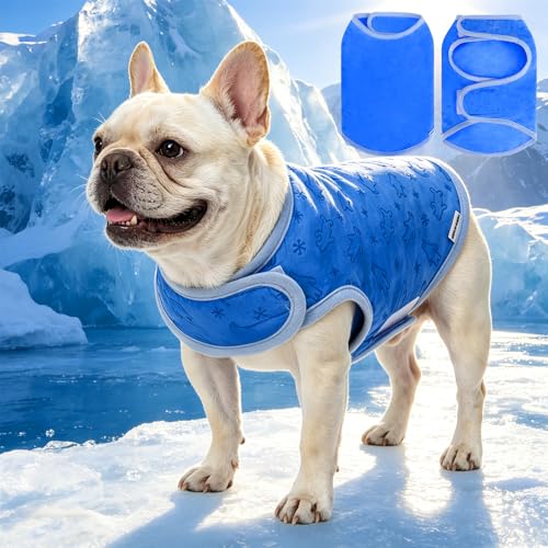 EXPAWLORER Cooling Dog Vest for Small Medium Large Dogs Adjustable Lightweight Breathable Summer Jacket with UV Protection Evaporative Vest for Hot Weather Outdoor Walking Hiking White Bear M