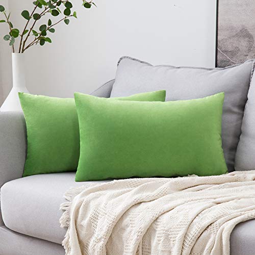 Image of MIULEE Pack of 2 Velvet Pillow Covers Decorative Square Pillowcase Soft Solid Cushion Case for Sofa Bedroom Car 12 x 20 Inch Apple Green