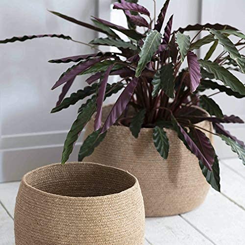 Sian Enterprises Handcrafted Woven Round Plant Bag (Jute) (14x12 inches) (Beige)-image-16