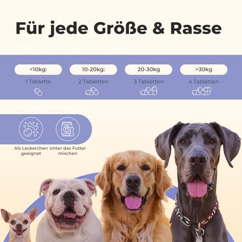 Gelenktabletten für Hunde – 120 Tabletten – 13-Fach Wirkstoffkomplex mit Grünlippmuschel & MSM – entwickelt mit Tierärzten, laborgeprüft, zum Patent angemeldet, Made in Germany – Einführungspreis
