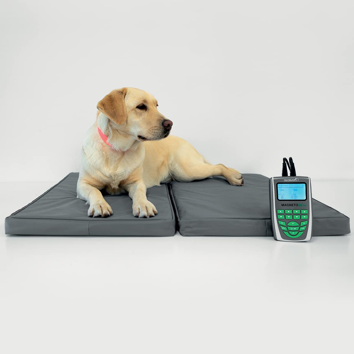 Globus | Magnetovet 200 Con Cuccia, Magnetoterapia Per Animali