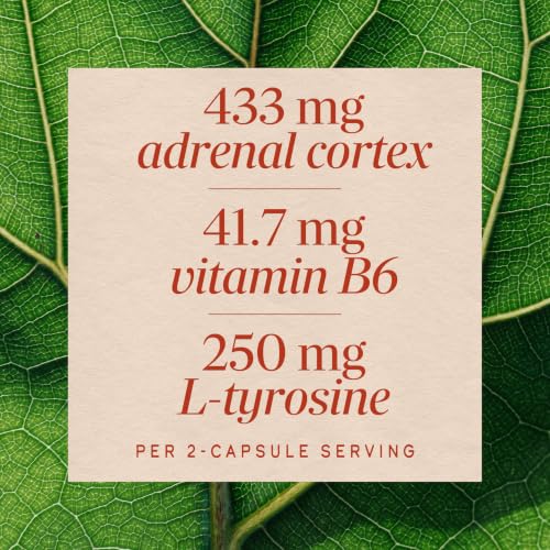 Nature's Way Adrenal Stress-End, Supports Cellular Energy*, 60 ct | Cellular Energy Support Featuring B-Vitamins*, L-Tyrosine, and Adrenal Complex, Supports Neurotransmitter Production* - image 4