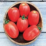 Granadero F1 Hybrid Tomato Seeds - Lovely Oval Shape, Smooth Skin (50 - Seeds)