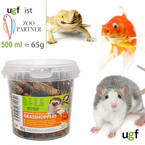 UGF - Getrocknete Heuschrecken - 65g im 500 Milliliter Eimer, Heuschrecken Insekten, Reptilienfutter, Nagetierefutter, Igelfutter, Eidechsenfutter, Vogelfutter Wildvögel Ganzjährig, Fischfutter