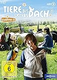 dachzelte  Tiere bis unters Dach - Staffel 8 [2 DVDs]