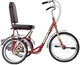 Stable Bike : Dimensions, Length 122 Cm, Width 55 Cm, Height 96 Cm, Weight 22 Kg. the Height Suitable for Riders is 150-170Cm. Rugged and Safe: the 20-Inch Cruiser Tricycle is Made of High-Carbon Steel and Can Support Riders and Cargo. the Total Weig...