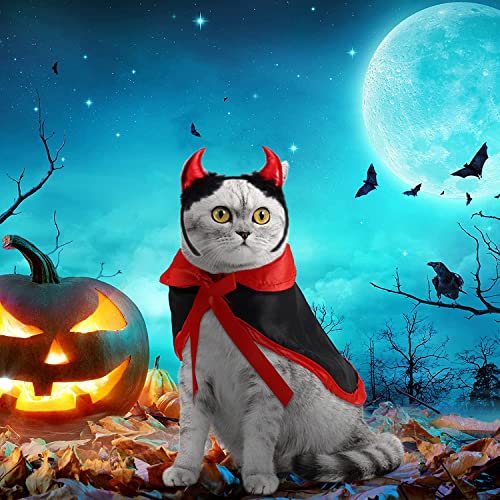 Disfraz Halloween para perro grande 2 piezas vampiro miniatura 7