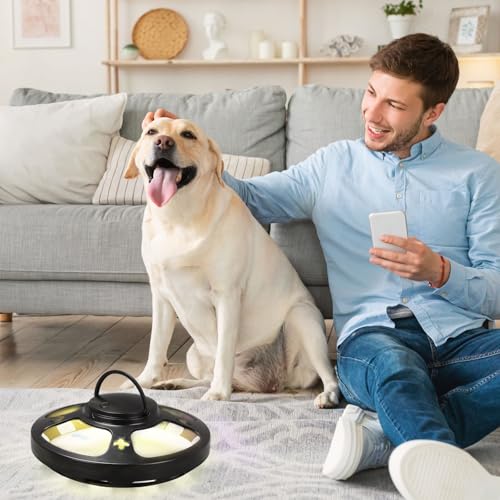Longzhuo Floh Falle für Home Omnidirectional Floh Catcher mit 2 Klebstoff Pads & 2 Lichtmodi, sichere Indoor Schädlingsbekämpfung für Schlafzimmer, Wohnzimmer & Küche (schwarz)