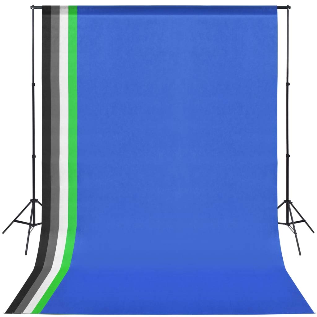 vidaXL Fotostudio Set Softbox Leuchte Studioleuchte Studiolampe Hintergrund Hintergrundsystem Studioset Stative Querstangen Tragetaschen