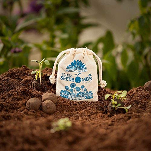 Preisvergleich Produktbild Die Stadtgärtner Seedbombs / Gänseblümchen / 8 handgemachte Samenbomben für tolle Blumen