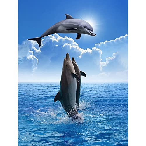 ダイヤモンド絵画 額入り完成品 イルカ クロスステッチ 海